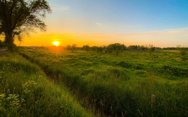 Autumn sunset path tree mountains free wallpaper for desktop - medium preview image