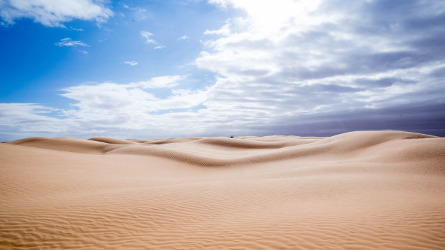Desert sandscape clouds trees ocean free wallpaper for desktop - medium preview image
