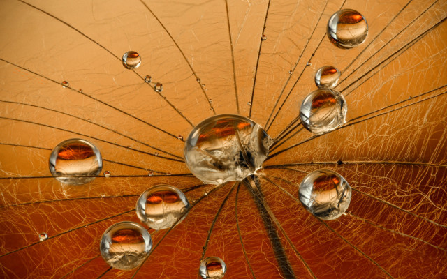 Umbrella water drops brown background free wallpaper for desktop - medium preview image