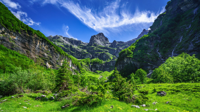 Mountain valley grassy trees blue free wallpaper for desktop - medium preview image