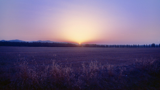 Sunset trees hill night sky free wallpaper for desktop - medium preview image