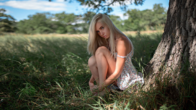 Woman sitting grass tree blonde free wallpaper for desktop - medium preview image