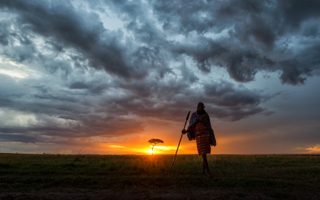 Person walking field umbrella sunset free wallpaper for desktop - medium preview image
