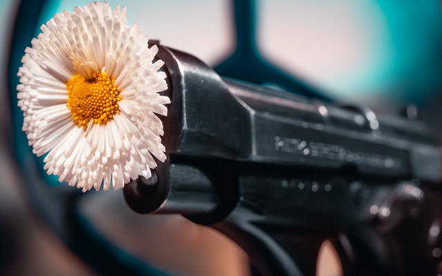 Gun flower mirror blurry closeup free wallpaper for desktop - medium preview image
