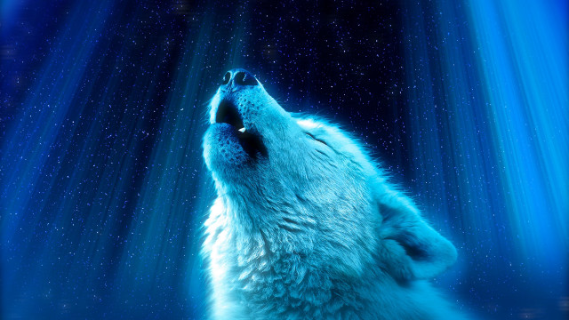 Wolf howling dark moon aurora free wallpaper for desktop - medium preview image