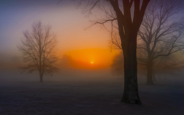 Foggy sunrise trees bench forest free wallpaper for desktop - medium preview image