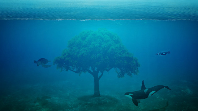 Tree fish water surreal matte free wallpaper for desktop - medium preview image