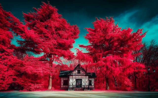 Red house forest autumn architecture free wallpaper for desktop - medium preview image