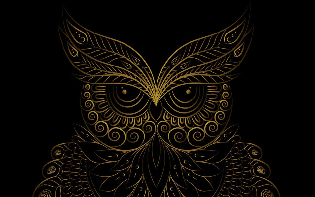 Golden owl intricate patterns dark free wallpaper for desktop - medium preview image