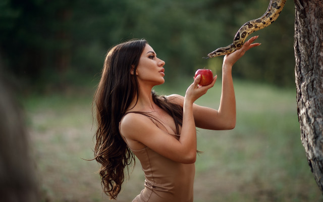 Enchanted forest woman apple snake free wallpaper for desktop - medium preview image