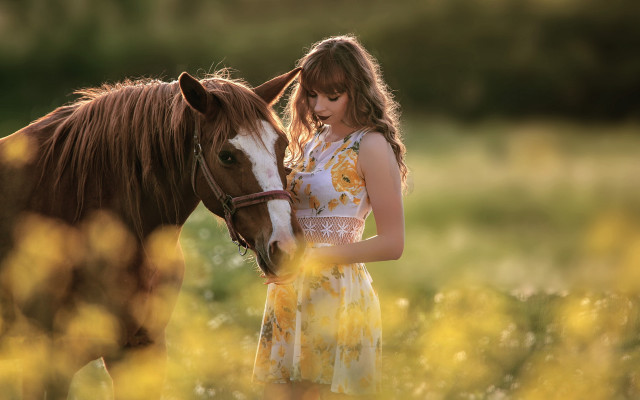 Woman yellow dress horse flower free wallpaper for desktop - medium preview image