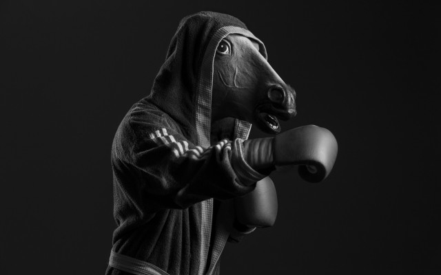 Horse statue robe boxing glove free wallpaper for desktop - medium preview image