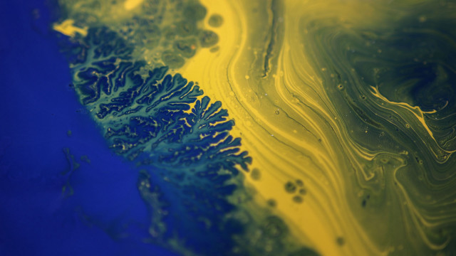 Yellow blue abstract fractals nature free wallpaper for desktop - medium preview image
