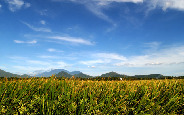 Field grass mountains blue sky free wallpaper for desktop - medium preview image