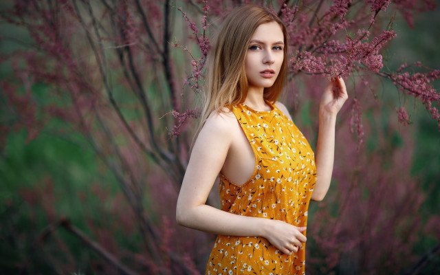 Yellow dress woman tree flower free wallpaper for desktop - medium preview image