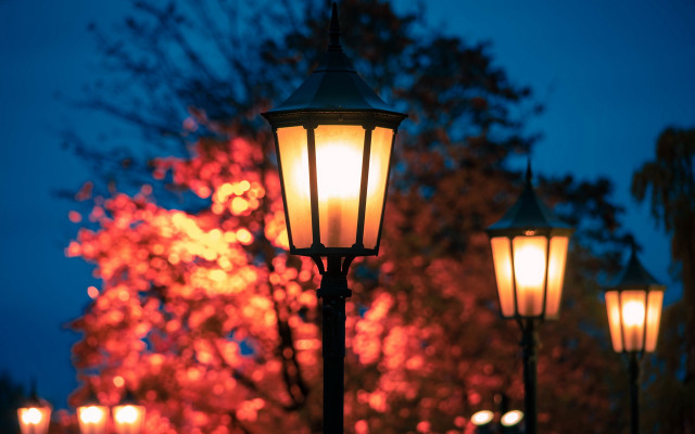 Streetlight tree night autumn fire free wallpaper for desktop - medium preview image