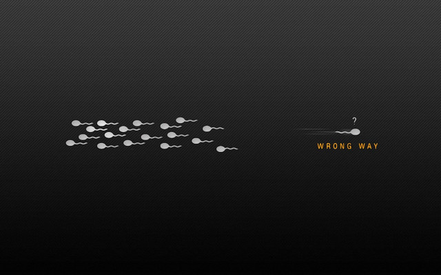 Black background white dots eve free wallpaper for desktop - medium preview image