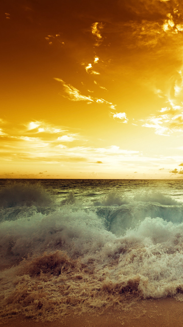 Surfer beach sunset board wave free wallpaper for mobile - medium preview image