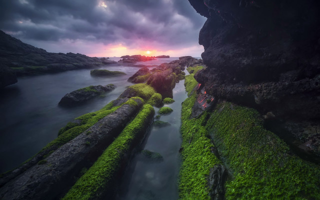 Sunset rocky beach moss water free wallpaper for desktop - medium preview image