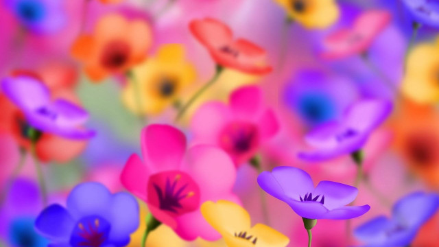 Colorful flowers field blurry background free wallpaper for desktop - medium preview image