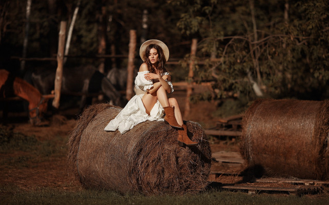 Woman hay bale field horses free wallpaper for desktop - medium preview image
