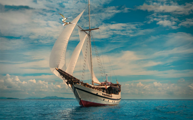 Sailboat ocean bird plane mattepainting free wallpaper for desktop - medium preview image