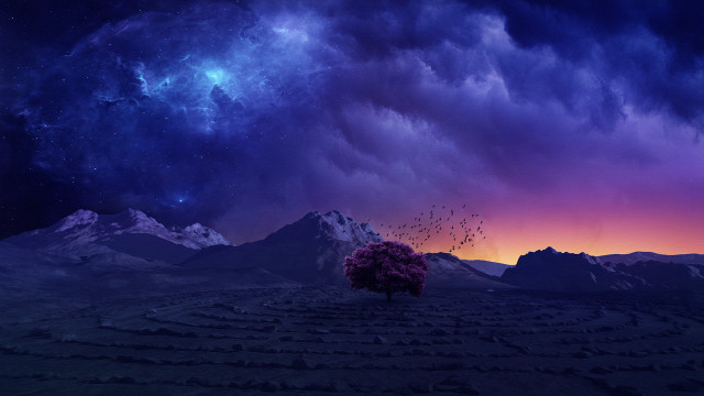 Tree field stars purple mountain free wallpaper for desktop - medium preview image