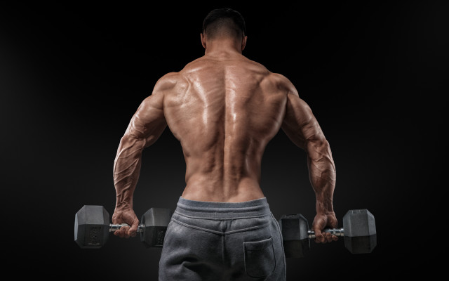 Muscular man back dumbbell black free wallpaper for desktop - medium preview image