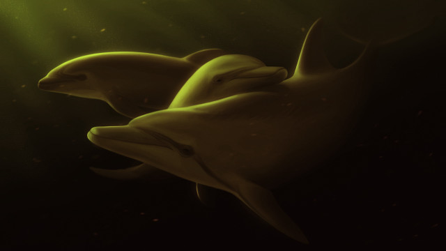 Dolphins sunlit water photorealism digital free wallpaper for desktop - medium preview image