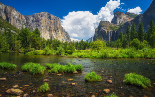 River mountains trees rocks grass free wallpaper for desktop - medium preview image