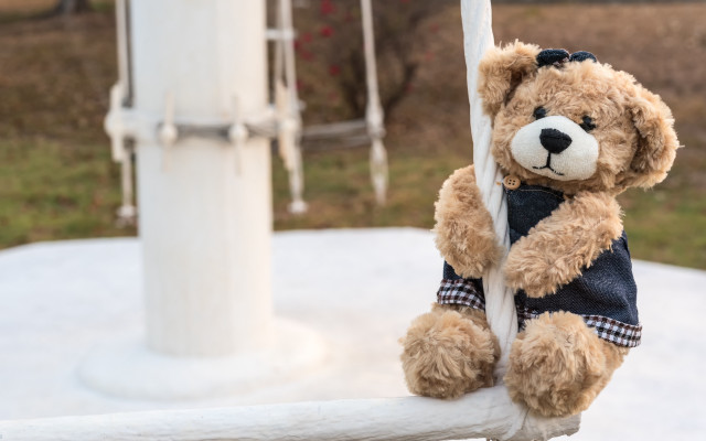 Teddy bear outdoor sunny portrait free wallpaper for desktop - medium preview image