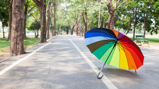 Rainbow umbrella park nature saturated free wallpaper for desktop - medium preview image