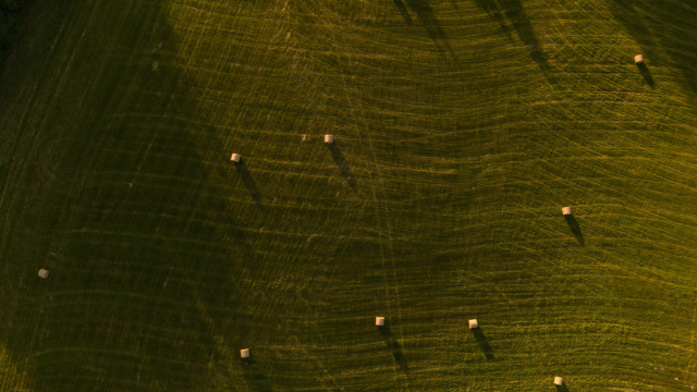 Sheep field shadow abstract microscopic free wallpaper for desktop - medium preview image