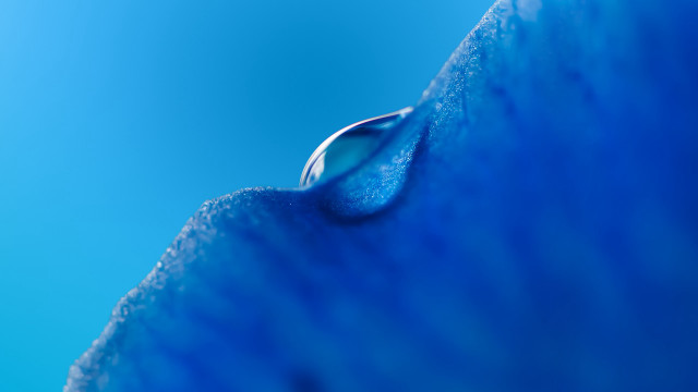 Water drop blue sky macro free wallpaper for desktop - medium preview image