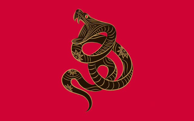 Snake cobra red background black free wallpaper for desktop - medium preview image