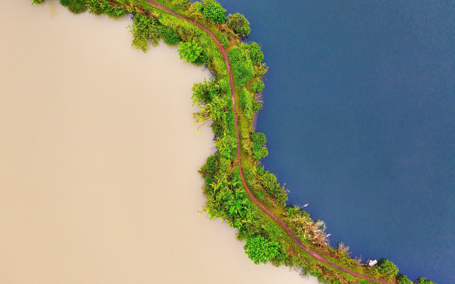 Train river flowers trees nature free wallpaper for desktop - medium preview image