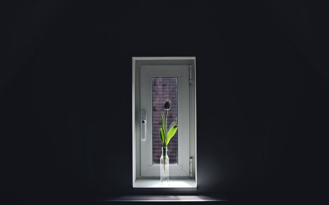 Door flower dark room light free wallpaper for desktop - medium preview image