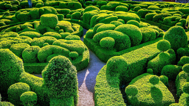 Garden bushes trees path fractals free wallpaper for desktop - medium preview image