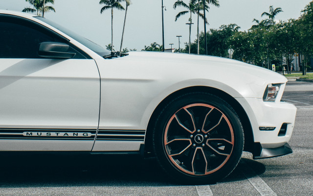 White mustang parking lot palm free wallpaper for desktop - medium preview image