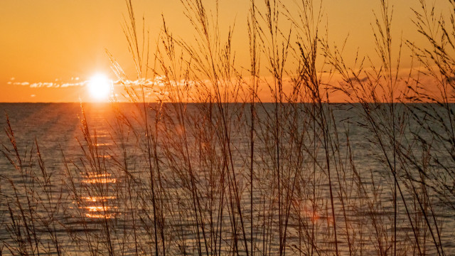 Sunset water tallgrass boat impressionist free wallpaper for desktop - medium preview image