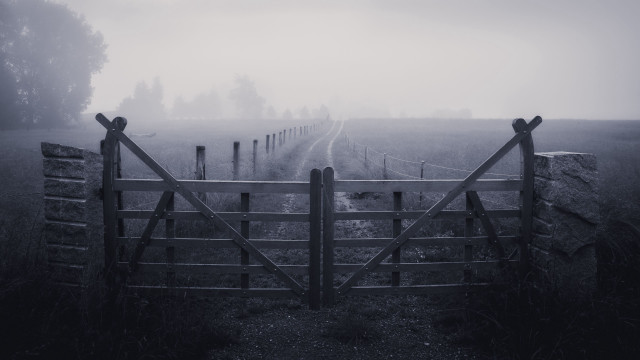 Gate field road fog night free wallpaper for desktop - medium preview image