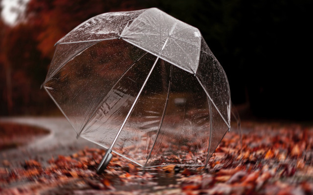 Clear umbrella rain leaves dark free wallpaper for desktop - medium preview image