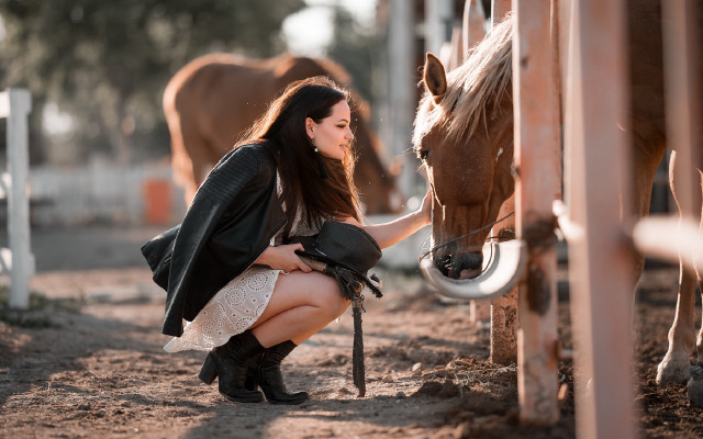 Woman horse petting corral blurry free wallpaper for desktop - medium preview image