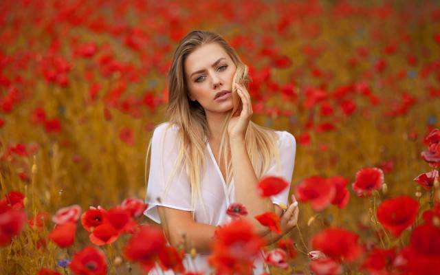 Woman redflowers serious portrait autumn free wallpaper for desktop - medium preview image