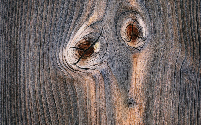 Wooden knot holes macro face free wallpaper for desktop - medium preview image