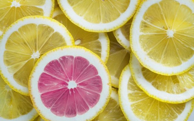Lemon closeup colorful fauvism staudinger free wallpaper for desktop - medium preview image