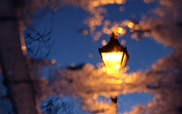Puddle reflection lamp post bokeh free wallpaper for desktop - medium preview image