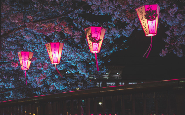 Pink lanterns night tree building free wallpaper for desktop - medium preview image