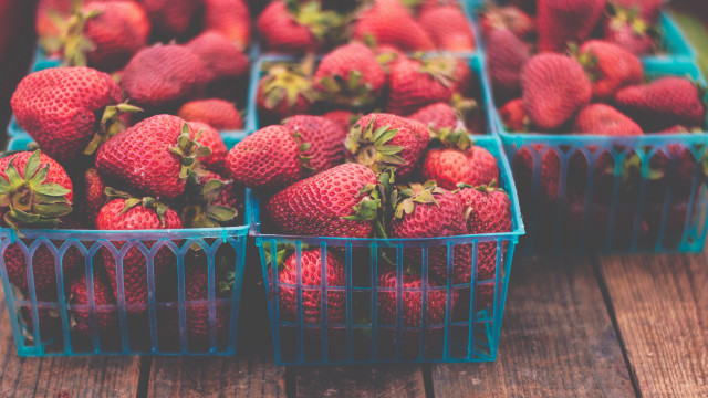 Strawberries blue basket food flower free wallpaper for desktop - medium preview image