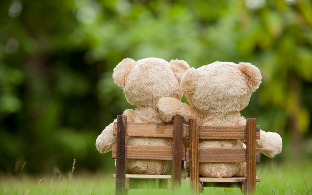 Teddy bears wooden bench love free wallpaper for desktop - medium preview image